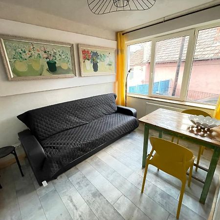 Art Apartments Govora Cluj Екстер'єр фото